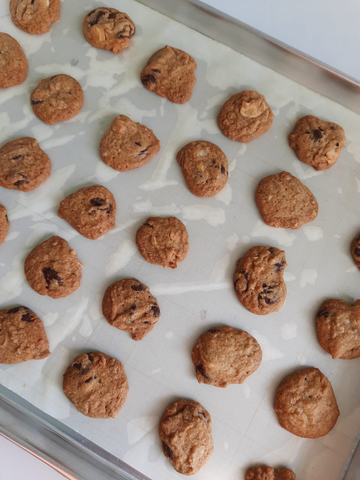 Chocolate Chip Macadamia